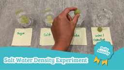 salt water density experiment preschool science activity