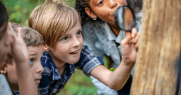 4 preschoolers outdoors using a magnifying glass to examine a tree in the playground