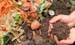 Compost pile with carrots