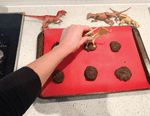 dinosaur fossils preschool activity