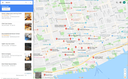 Google Maps local results for business listings.